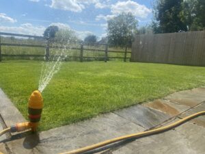 When should I water my lawn?