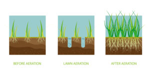 Do I need to aerate my lawn? Aerating you lawn can bring some important benefits to your grass.